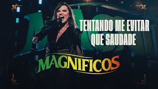 MEDLEY - Tentando Me Evitar / Que Saudade - Banda Magníficos (DVD A Preferida do Brasil)