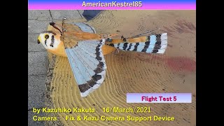 小型チョウゲンボウ型羽ばたき機　LongTail　試験飛行5　AmericanKestrel85： Flight Test 5