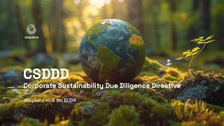 Understanding CSDDD - Corporate Sustainability Due Diligence Directive