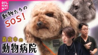 【動物病院まとめ】冷却シートを食べた犬  /  超多忙！巨大動物病院 …現場救う“愛玩動物看護師” / ケガや病気で苦しむペットを救う“新人獣医”　など（日テレNEWS LIVE）