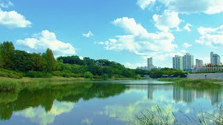 서울 올림픽 공원 Olympic Park in Seoul, Korea [4K]