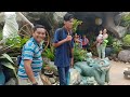 ep10 p1 party @ manuels resort buhay bukidnon in dipolog city