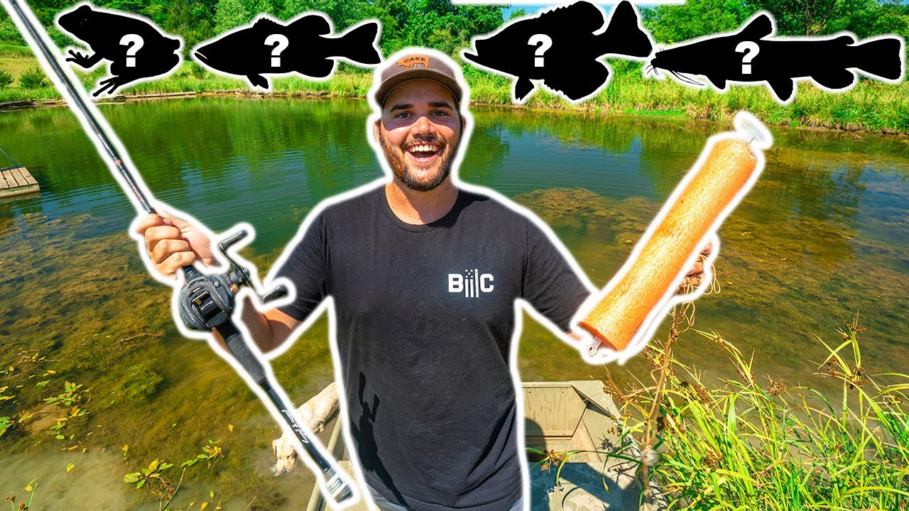 Catching and Cooking EVERY SPECIES in My BACKYARD POND!!! (Multi-Species Mukbang)