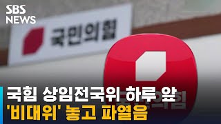 내일 국민의힘 상임전국위 개최…비대위 놓고 파열음 / SBS