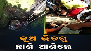 କୂଅ ଭିତରୁ ଛାଣି ଆଣିଲେ   | Odisha Reporter