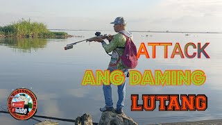 ATTACK MGA TAMBA LOSLOS ANG LINAW ANG DAMING ISDA