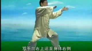 陈式老架一路6式金刚捣碓 ChenXiaoWang Chen's style TaiJI  6