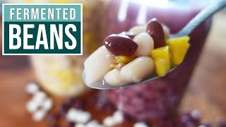 FERMENTED BEANS & LENTILS - delicious probiotic beans with a zing!