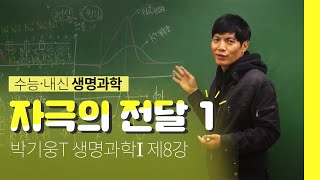 자극의 전달 (1) / 박기웅T 기심빠개 생명과학I 제08강 / 스몽디무료인강