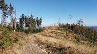 Przehyba Trail ULTRA-  tuż za szczytem Przehyby...