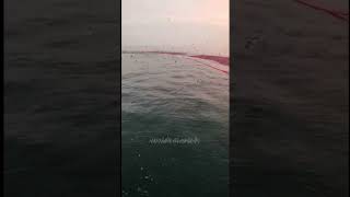 Full Fishing Honnavar | arabian sea Honnavar | aarya