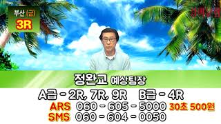 20190517 정완교의 싸이즈가 다른 방송 금요일 부산 경마예상방송