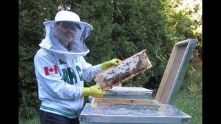 Kiwimana Buzz Beekeeping Podcast #20 - Chat with Gabriel Petrut