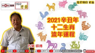 【全集】2021辛丑年十二生肖流年運程《玄途有方榮》 20200830