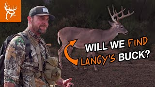 BOW HUNTING on the RIO | Willie the quail hunter | Buck Commander