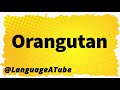 Orangutan Pronunciation ⚡️ How To Pronounce Orangutan!