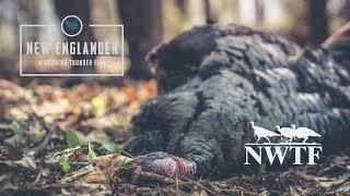 New Englander - A National Wild Turkey Federation Story - Morning Thunder Official Trailer