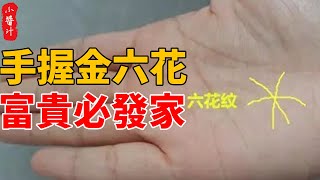 發大財手相：「手握金六花，富貴必發家」，將來能鴻運當頭、福祿雙全、賢子貴孫！