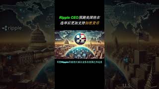 Ripple CEO 预测美国将在选举后变得更加支持加密货币 #XRP #加密货币新闻 #熱門 #web3