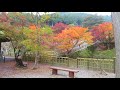 円通寺　紅葉　兵庫県　丹波三山