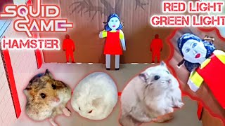 Squid Game Hamster | Hamster Squid Game Red Light Green Light | Cute Hamster Videos