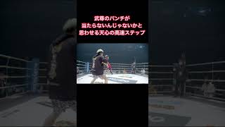 武尊のパンチが当たらんじゃないかと思わせる那須川天心高速ステップ #shorts #rizin