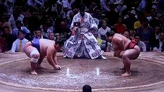 豊山 vs 千代丸 2017年大相撲秋場所12日目 20170921