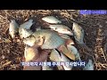 ep156. 붕어도 덥다 폭염을 피해 붕어가 몰리는 포인트 임하댐 박곡리 붕어낚시 crucian carp fishing