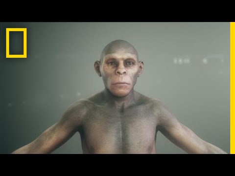Where do humans originate?