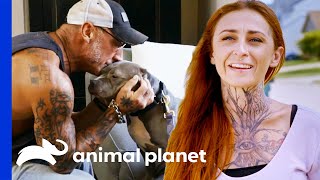 Extremely Shy Dog Finally Gets Adopted | Pit Bulls & Parolees