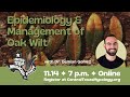 Epidemiology and Management of Oak Wilt