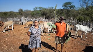 UM DIA MARAVILHOSO NO SÍTIO COM DONA GERALDA E JOÃO NETO, A VIDA SIMPLES NO SERTÃO DE PERNAMBUCO.