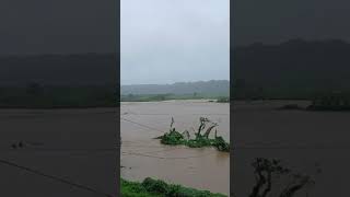 Rio Manatí Inundaciones in Puerto Rico #travel