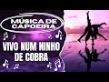 Vivo num ninho de cobra (MÚSICA DE CAPOEIRA BENGUELA)