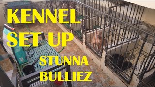 VLOG 16 MY HUMBLE SIMPLE KENNEL SET UP (STUNNA BULLIEZ KENNEL) | DON RAIDER