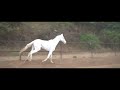 arjun gunde horse riding