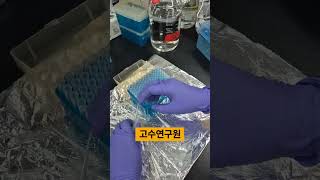 초보연구원 vs 고수연구원 팁 꽂기