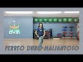 Perreo Duro Maliantoso (Remix) - DJ Yayo | Reggaecrunk; Moombahton | Zumba | Dance | Choreo