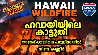 ഹവായി - അമേരിക്കൻ പറുദീസ ചുട്ടെരിച്ച കാട്ടുതീ -  Hawaii wildfire 2023 EPI 28 | Amazing America