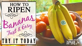 How To Ripen Bananas (FAST \u0026 EASY) Try It Today