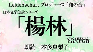 【和の音】楊林　宮沢賢治　朗読：本多真梨子【朗読】