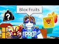 The Roblox Blox Fruits Experience Compilation