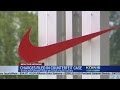 Man charged for fake Nike internet store