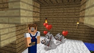 【たこらいす】ほのぼのマイクラゆっくり実況  ＰＡＲＴ２７　【マインクラフト】　（犬小屋改修、隠れ家と秘密の扉　編）