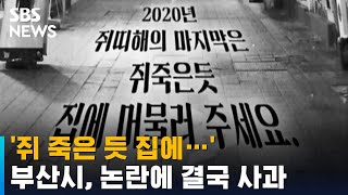 '쥐 죽은 듯 집에…' 부산시 포스터, 논란 속 결국 사과 / SBS