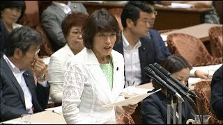 加計問題　田村智子議員の質問