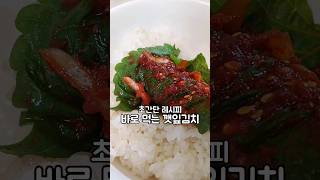 만들어서 바로 먹는 깻잎김치 #깻잎지#깻잎김치#깻잎무침