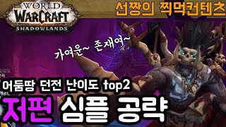 [와우]어둠땅 던전난이도 2위 저편 - 【간단공략】shadowlands- 선짱의월드오브워크래프트