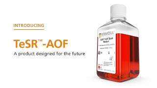 TeSR™-AOF: Designing a Product for the Future