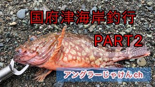 2022  7月　国府津海岸でこの魚釣れました‼️